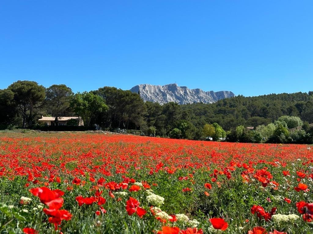 Villa Lumineuse Avec Piscine Clim 1Ere Etage Vue Panoramique Sur Les Montagnes Sur Le Site De La Sainte-Victoire Le Tholonet Extérieur photo